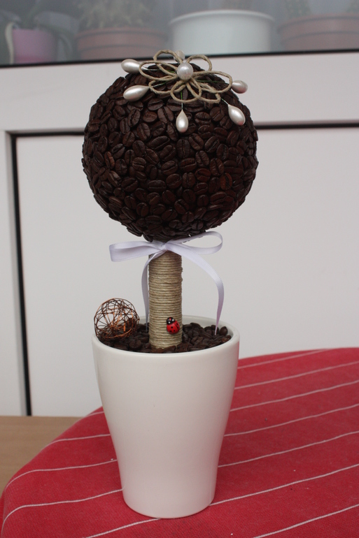 Кофейное дерево для Леночки