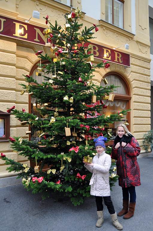 Вена... волшебная Вена!