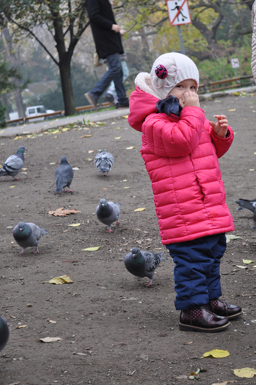 Вена... волшебная Вена!