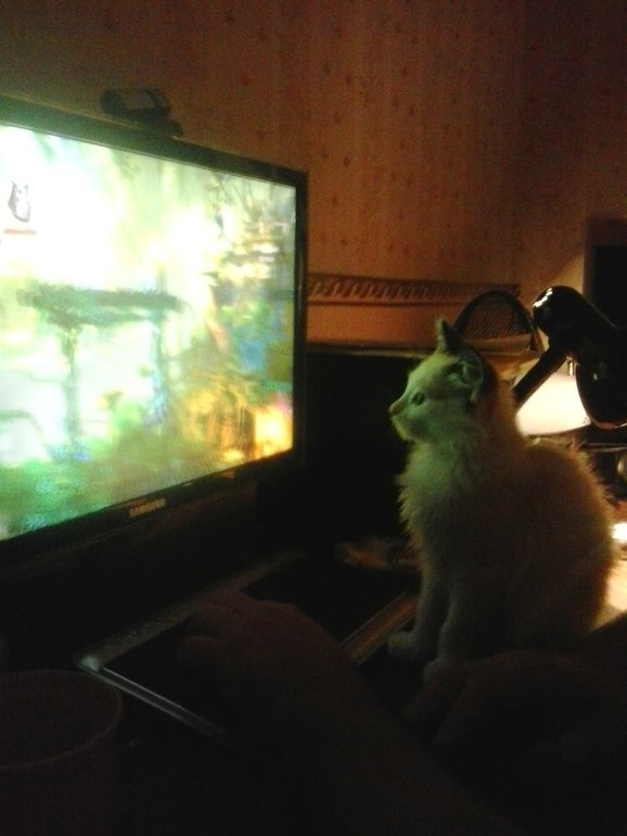 Дело было вечером!