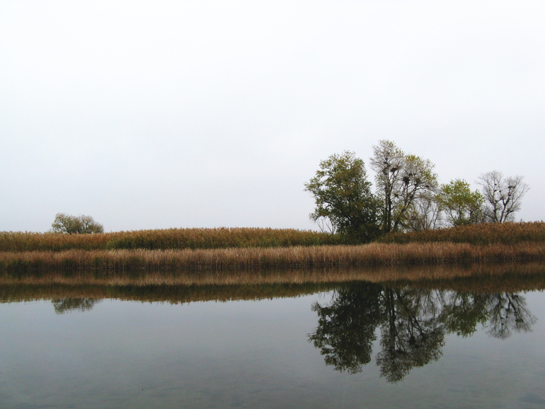 Контрольное задание №7. Корректируем фотографию при помощи кривых