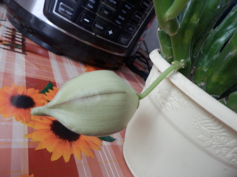 Пересортица и Ко)