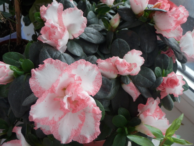 Немного осеннего.