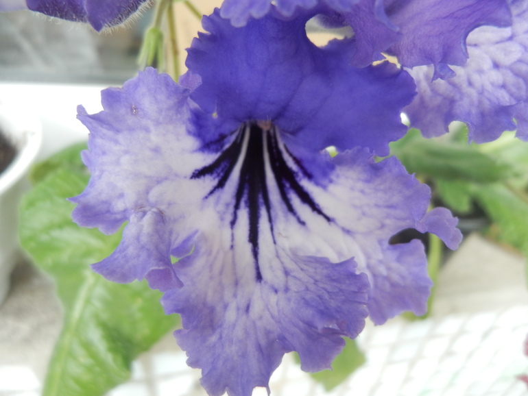 Итоги лета. Некоторые из моих любимчиков.