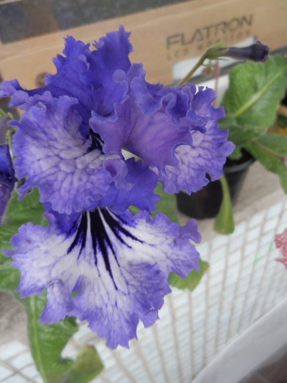 Итоги лета. Некоторые из моих любимчиков.