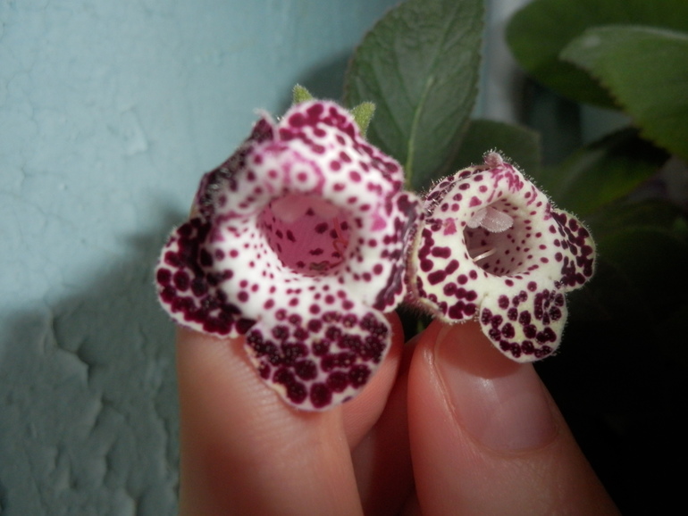 Итоги лета. Некоторые из моих любимчиков.