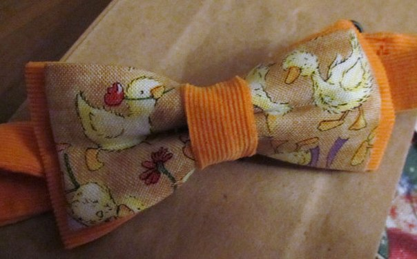 Новое увлечение- галстук-бабочки!)