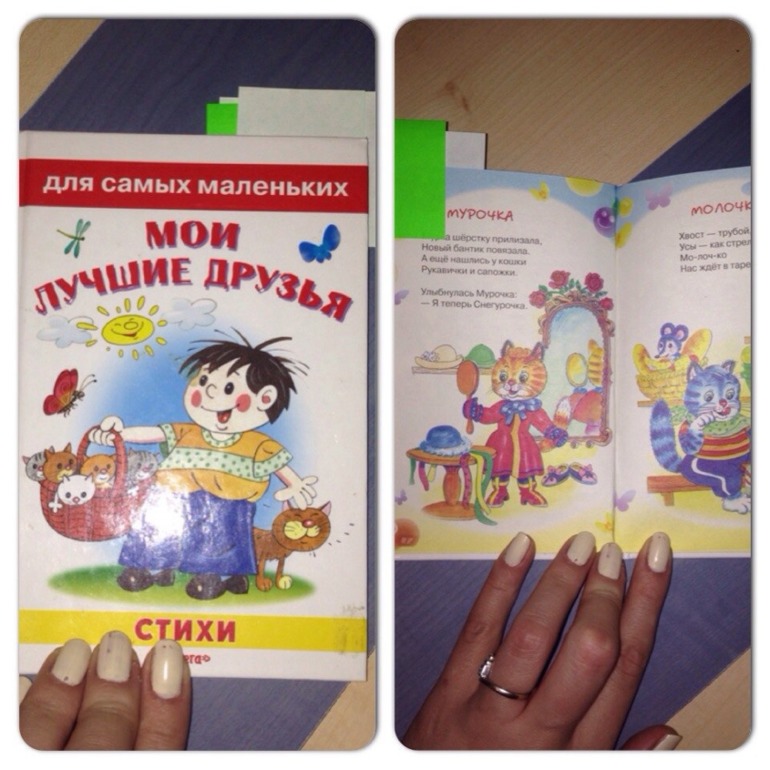 Наша первая Тематическая неделя "Домашние животные" (часть 1)