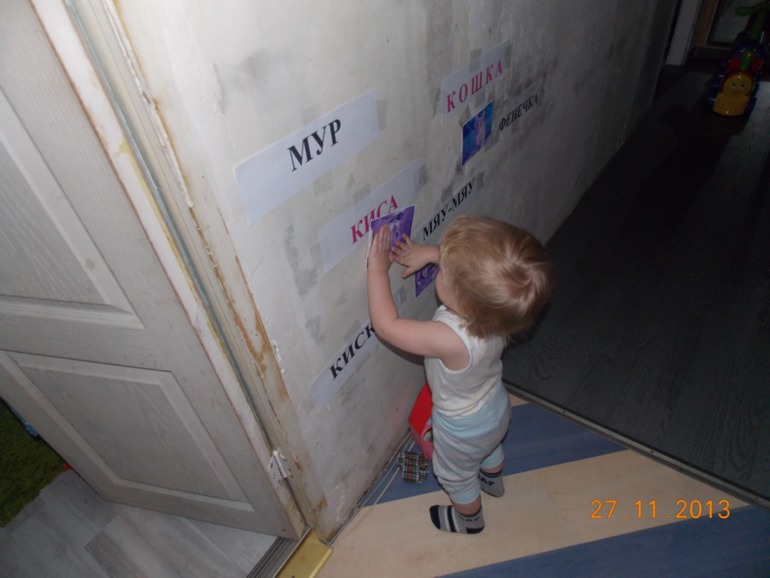 Наша первая Тематическая неделя "Домашние животные" (часть 1)