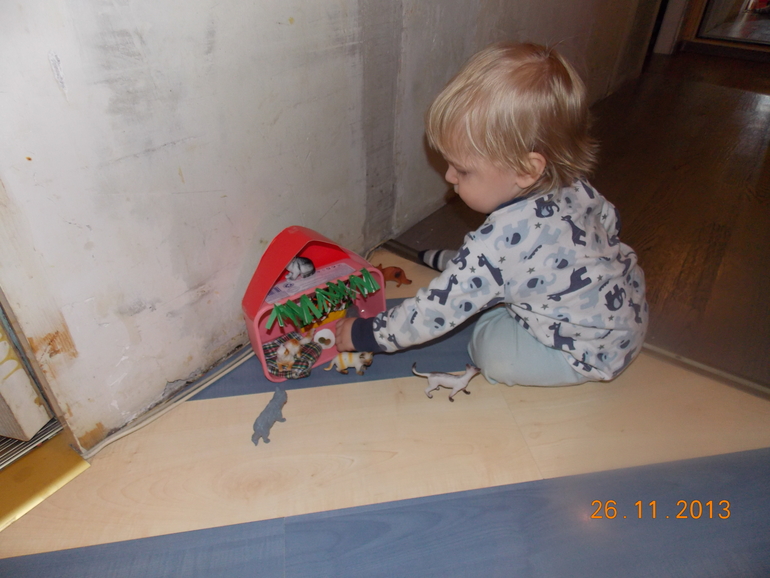 Наша первая Тематическая неделя "Домашние животные" (часть 1)