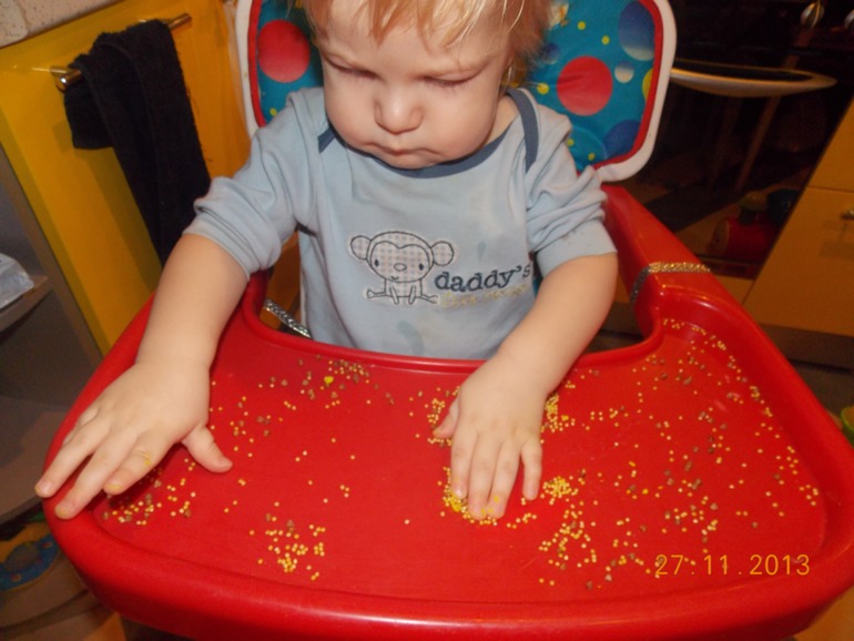 Наша первая Тематическая неделя "Домашние животные" (часть 1)