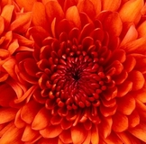 На УДАЧУ в 4 крио поменяла Ник и Аву