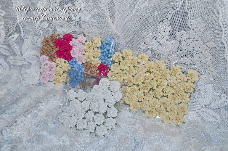 Моя МАЛЕНЬКАЯ хвастушка)))) Цветы