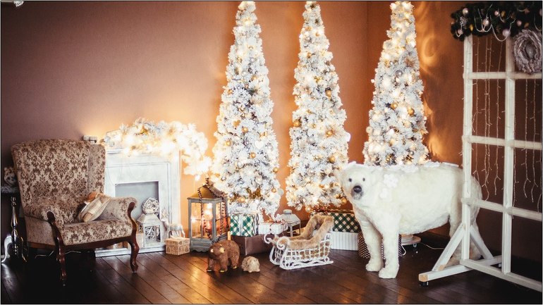 Выходные(30.11, 01.12). Студия. ТФП.