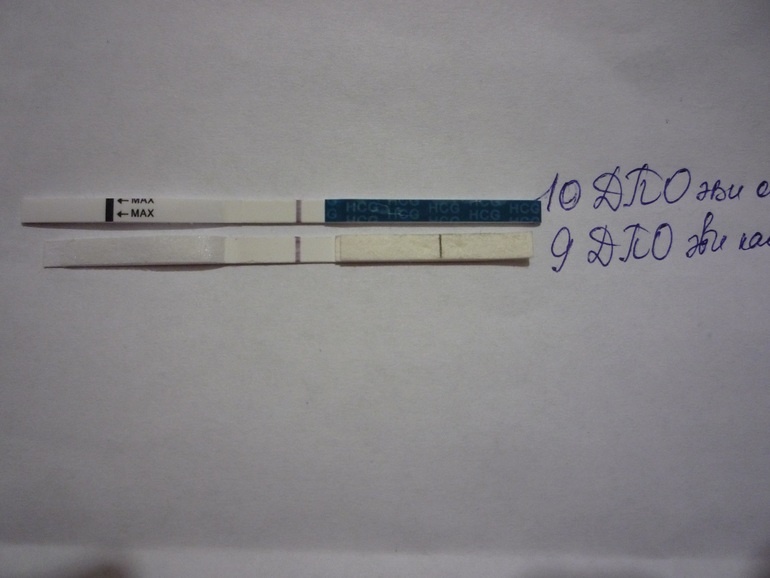 Как-то не спокойно на душе! Верить?