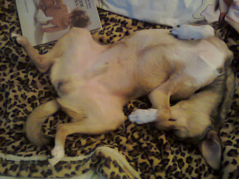 Спящая Тыква)))