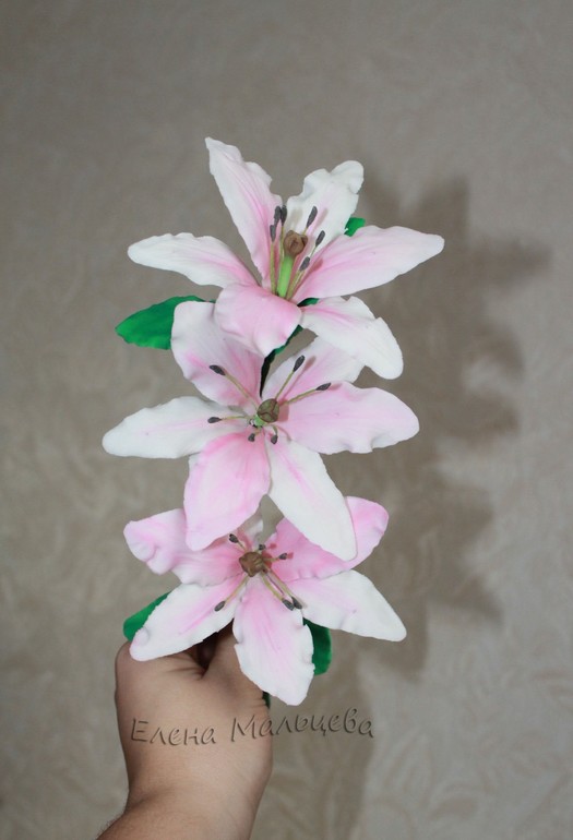 Моя первая лилия (без курсов)