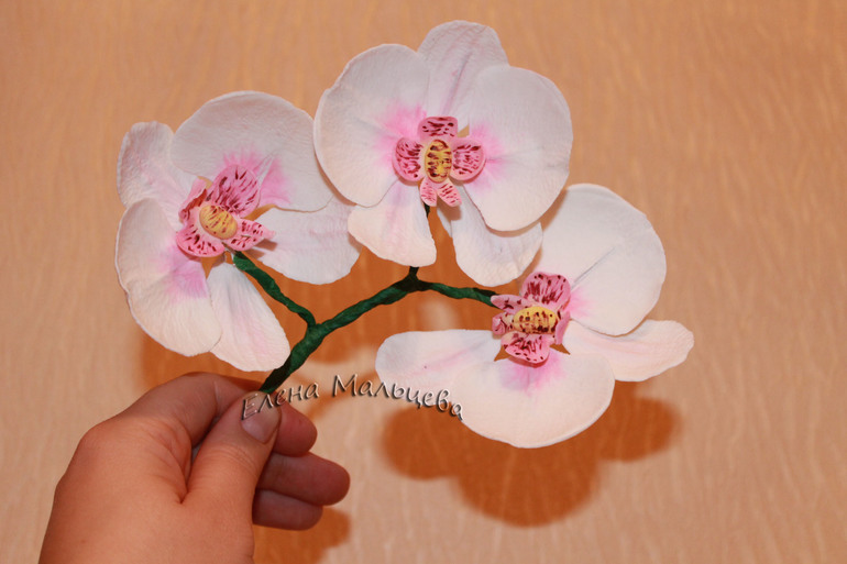 Моя первая орхидейка (без курсов)
