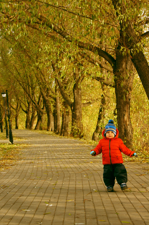 Контрольное задание № 6. Три способа цветокоррекций фотографий