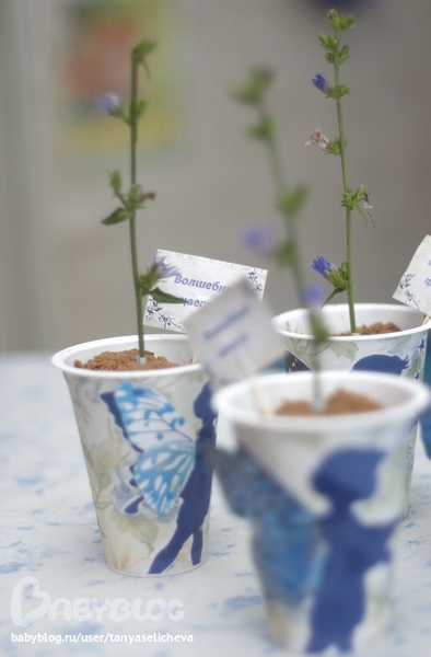 Привет всем! Наконец могу написать про наше годовасие!Часть1