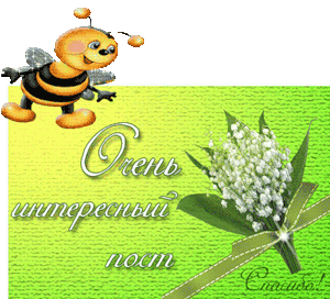 40903f32929ff594eb2bebeeace69a89.gif