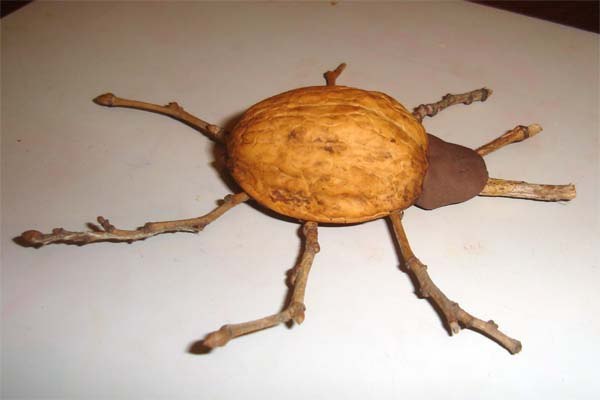 ИЗ СКОРЛУПЫ ГРЕЦКОГО ОРЕХА