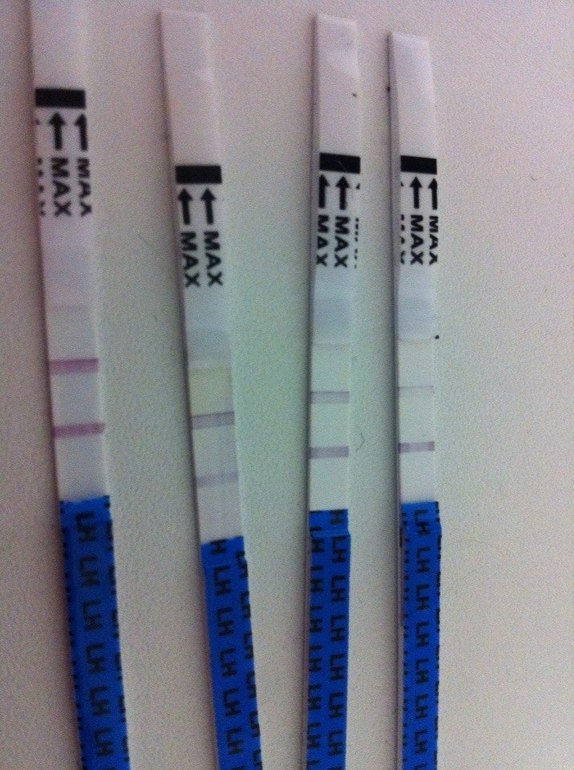 cfe602b66dd9c54d2fa1dd8ff039ddb1.jpg