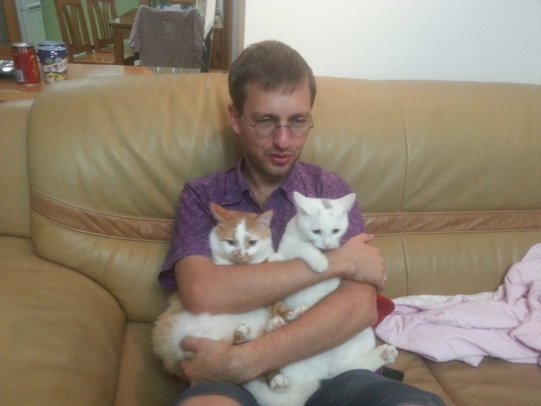 Коты и младенцы