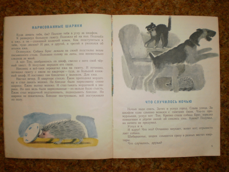 Осенние ежики