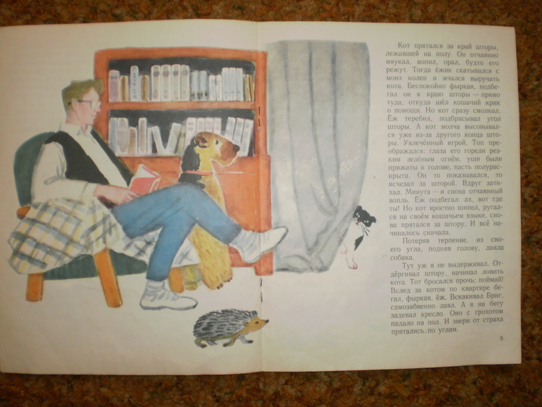 Осенние ежики