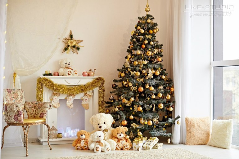 Приглашаю на Новогодний проект 23.11.2013г в Like Studio