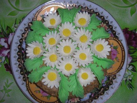 Мои ромашки