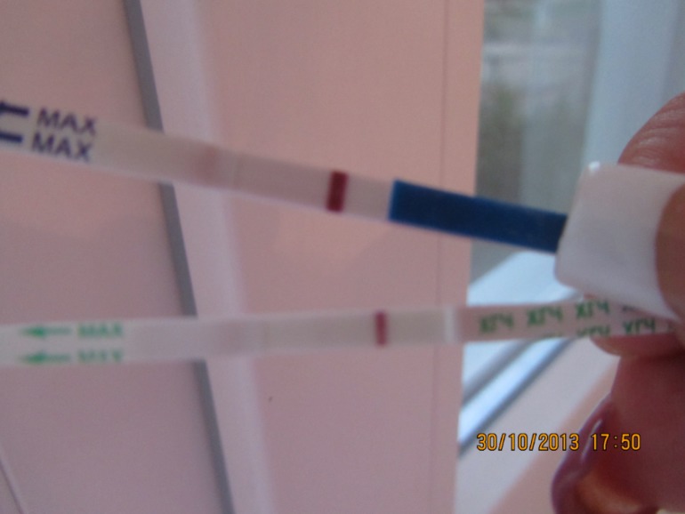 Девочки, посмотрите!