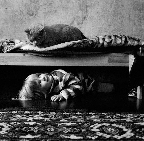 Коты и люди