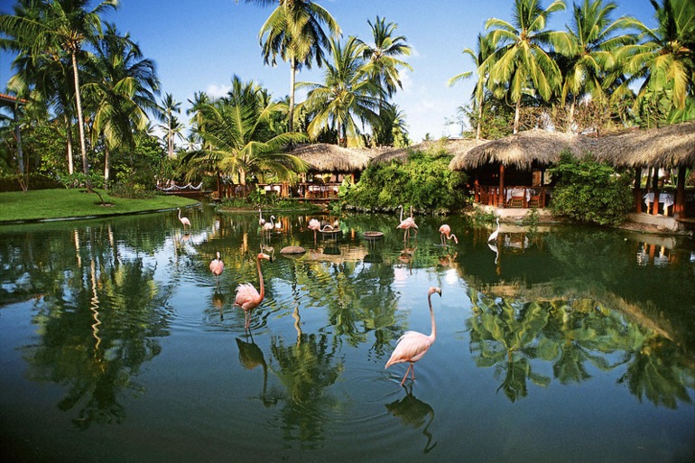 ДОМИНИКАНА. Пунта Кана. Natura Park Beach Eco Resort & Spa 5*