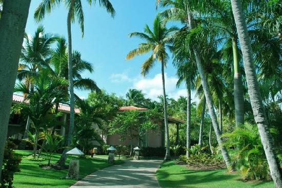 ДОМИНИКАНА. Пунта Кана. Natura Park Beach Eco Resort & Spa 5*