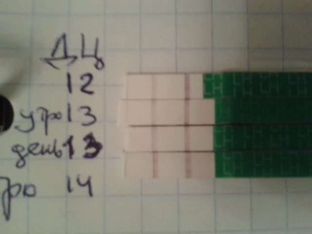 Овулька пришла)