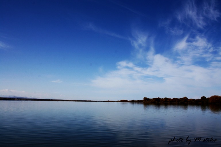 приветик девочки