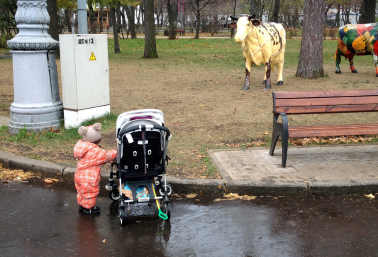Коляски Bugaboo Bee Plus в парке Сокольники