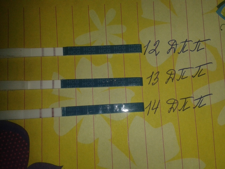 УРРРРРРАААААА!!!! Я БУДУ МАМОЙ!!!! ХГЧ 486!!!