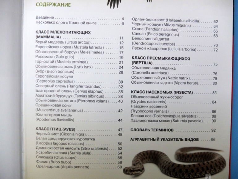 Итоги книжного ноября