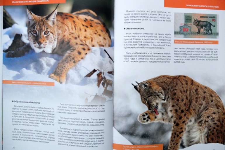 Итоги книжного ноября