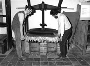 Уэльские и шотландские шали!!!