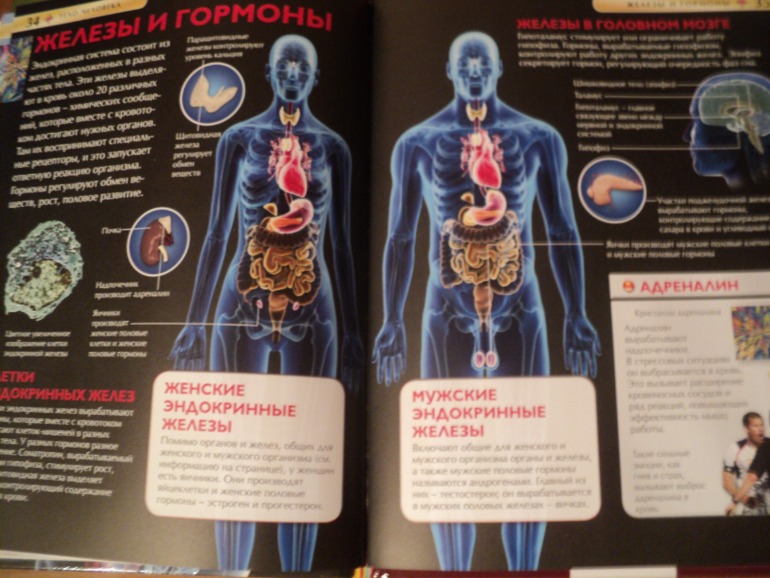 Наши книжки в сентябре.