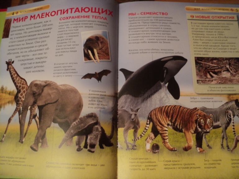 Наши книжки в сентябре.