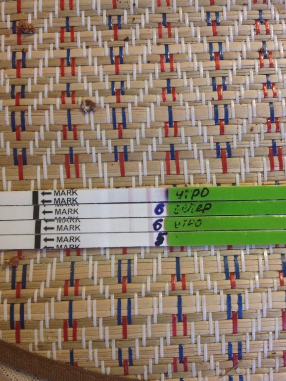 Тесты на овуляцию Фраутест