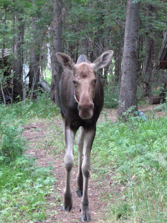 Южный Урал 2013