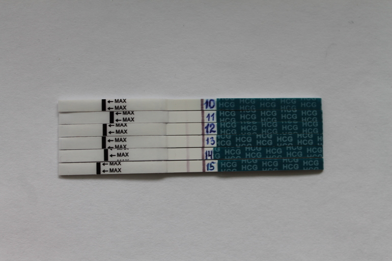 a4bb522cccb09d8c2060abaeabafd585.jpg