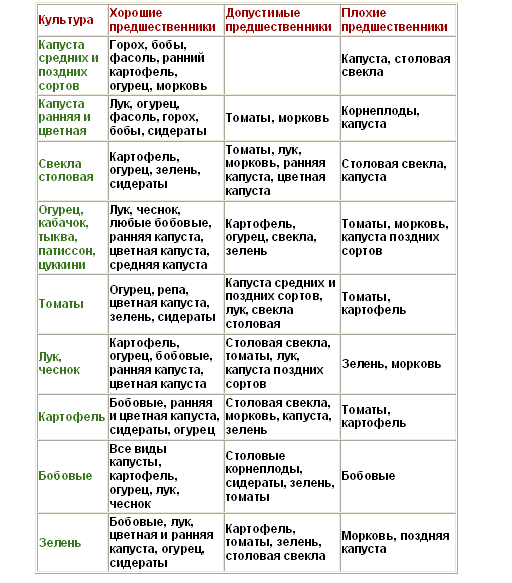 Принципы чередования овощных культур