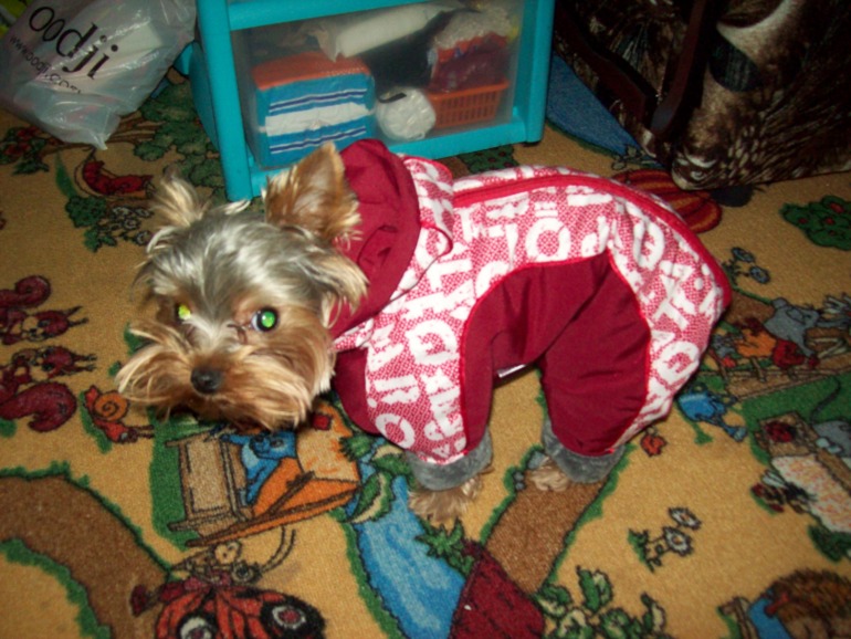 А у меня сегодня второй день рождения!!!!